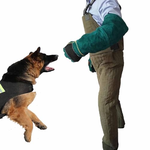 DDZJTPP Anti-Biss-Anzug für Hunde, Training für militärische Hundeschutzkleidung, Training für Hundebiss zur Stärkung der Sicherheitskleidung, Hundeschutzkleidung mit Handschuhe,A-L