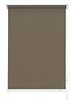 GARDINIA Seitenzug-Rollo für Fenster, Blickdicht, Lichtundurchlässig, Blendschutz, Montage mit Bohren, Verdunkelung, Mocca, 82 x 180 cm