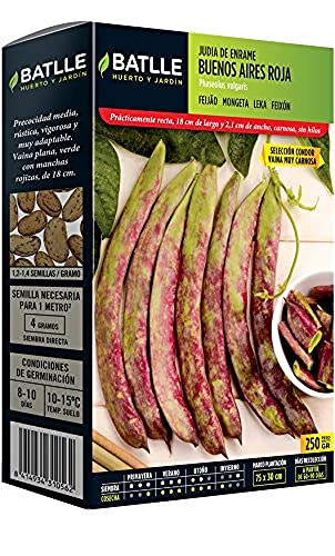 Leguminosa-Samen - Buenos Aires rot 250 g - Batlle