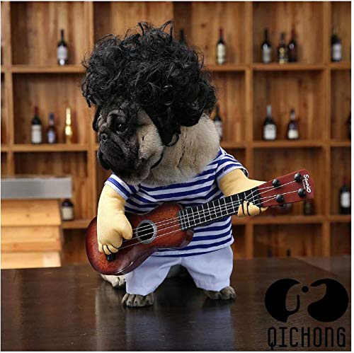 Werse Haustier Hund Gitarre Outfit - L