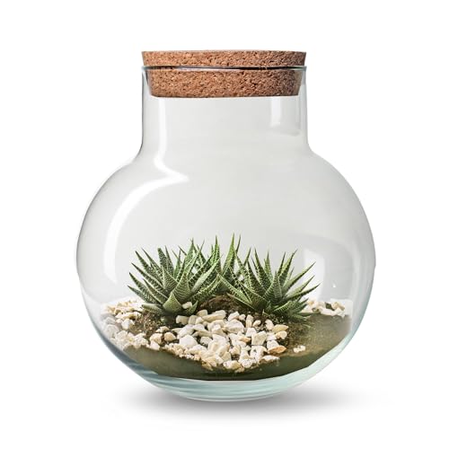 XXL Pflanzenterrarium mit/ohne LED inklusive allem - Nur noch Pflanze dazu -Terrarium - Pflanzterrarium Pflanzenglas - Flaschengarten Größe H 29 cm - Ø 25 cm mit Korken