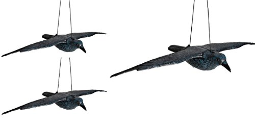 Hillfield 3 Stück Schwarzer Rabe fliegend Kunststoff Taubenschreck Taubenabwehr Vogelschreck (3)