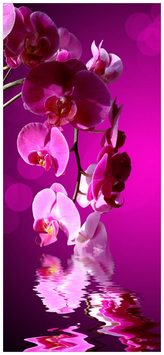 Wallario Selbstklebende Türtapete Rosafarbene Orchidee Blüten in pink - Türposter 93 x 205 cm Abwischbar, rückstandsfrei zu entfernen
