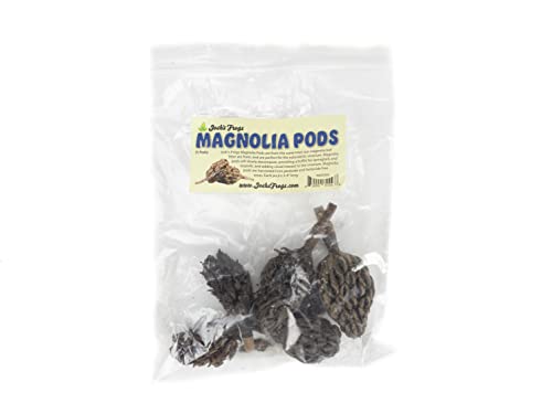 Josh's Frogs Magnolien-Pods (inkl. 5 Kapseln)