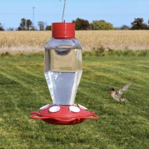 Backyard Essentials Kolibri-Futterspender aus Glas, 590 ml, Nektar Vogelfutterstation mit 6 Futteröffnungen