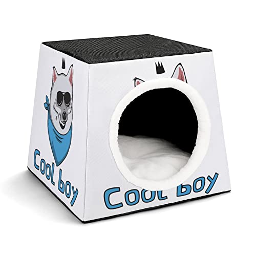 Bedruckte Katzenhäuser & Katzenhöhle Süß Faltbarer Katzenwürfel Katzenbett Katzensofa mit Abnehmbarem Kissen Cooler Junge Cartoon