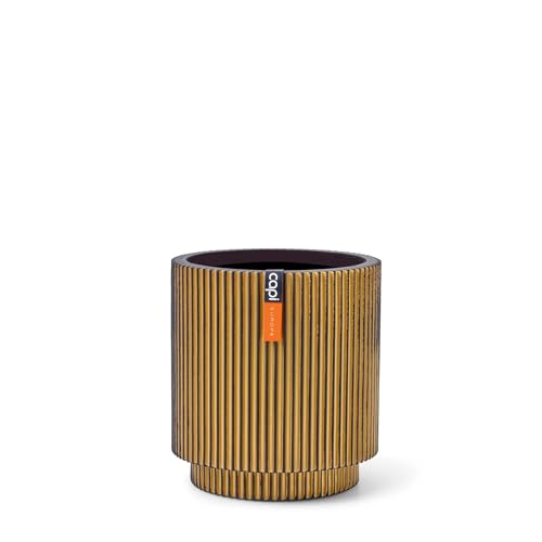 Capi Europe - Blumentopf Zylinder Groove - 15x17 - Gold - Blumentopf für den Innenbereich