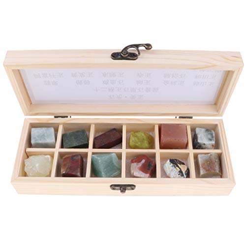 Toygogo Rock & Mineral Collection Geologie Science Kit Erdwissenschaftliches Spielzeug Schachtel Mit 12 Stück Natürlichen Jade Edelstein Exemplaren