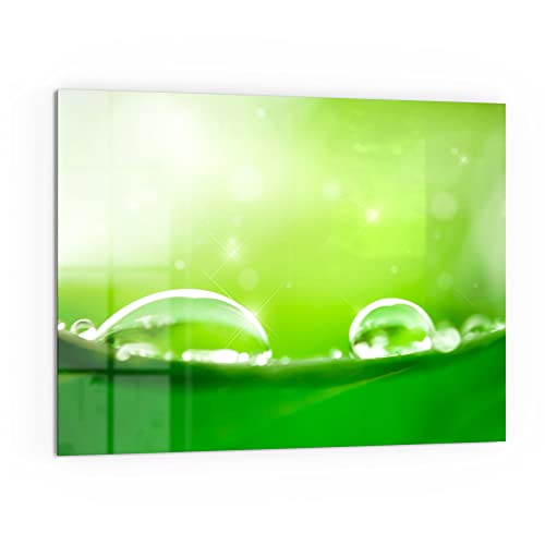DEQORI Küchenrückwand Glas | Motiv "Tautropfen auf Blatt" | 80x60 cm | Bad- oder Herd-Rückwand | Herdblende Spritzschutz für Küche & Badezimmer | moderne Deko für Fliesenspiegel