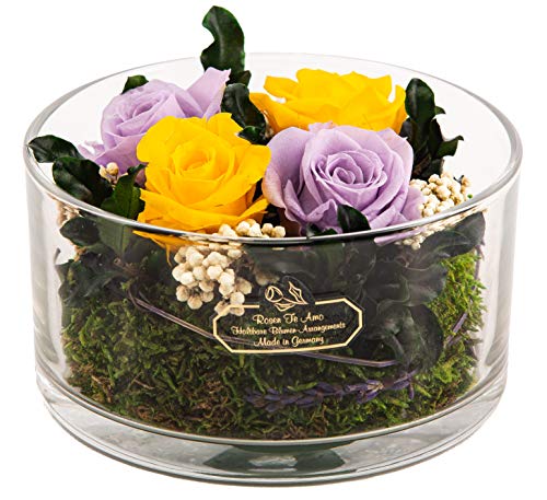 Rosen-Te-Amo origineller Blumenstrauß aus 4 konservierten, echten Rosen in runder Vase: mit Liebe handgefertigt aus 100% echten Deko-Pflanzen und Bindegrün, Lila-gelb