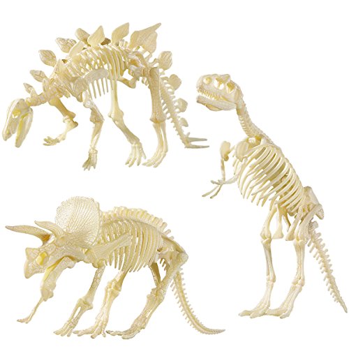 NUOLUX NUOLUX 4D Dinosaurier Fossil Skeleton Sortiert Dinosaurier Spielzeug DIY 3 Stücke Dino Knochen Fossilien Für Kinder Jungen Mädchen