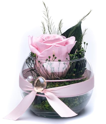 Rosen-Te-Amo Infinity Blume Blumen Gesteck - Haltbare Rosen-Box - Konserviertes Blumenarrangements (Kugel Vase, Bridal Pink)