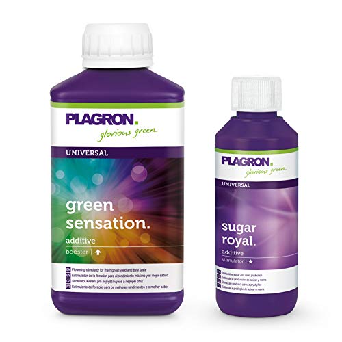 Plagron Green Sensation 250 ml und Sugar Royal 100 ml mit Aktionscode