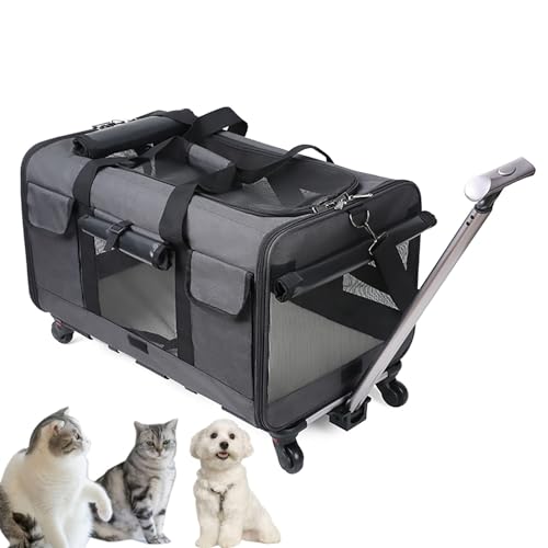 Pucaru Rollende Transportbox für Haustiere mit Rädern, Faltbare, Hundetransportbox für Kleine Hunde und Katzen, gut zum Wandern/Camping (Color : Dark Gray)