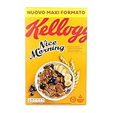 3x Kellogg's Nice morning mit natürlichen Weizenkleiefasern 500g