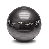 SKLZ TRAINERball Sport Performance (65cm) -Gymnastikball mit Übungen, schwarz, One Size