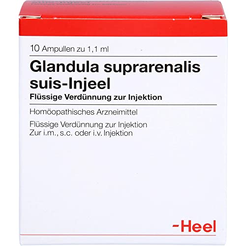 Glandula Suprarenalis sui 10 stk
