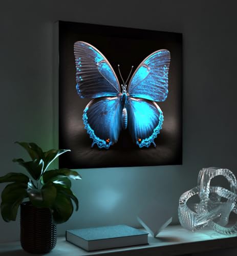 MyMaxxi - Pixlip Poster Blauer Schmetterling Wandbild Design Wand Dekoration, Foto schwarz blau Leuchtrahmen - Morphofalter, 84x120 cm, Rahmen: Leuchtrahmen inkl. Druck