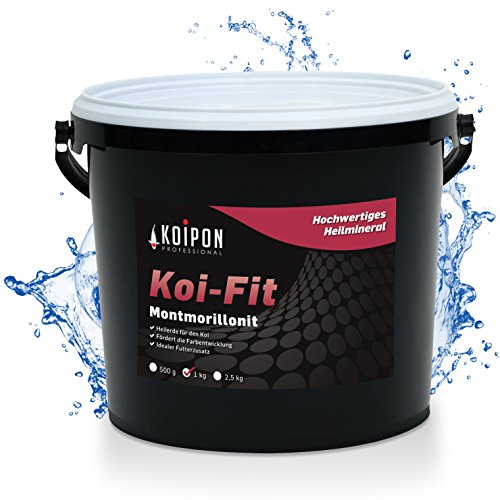 KOIPON Koi-Fit 1 kg Futteraufwertung für Koifutter und Goldfischfutter, Montmorrilonit Premium-Mineral zur Farbentwicklung und Gesunderhaltung von Fischen