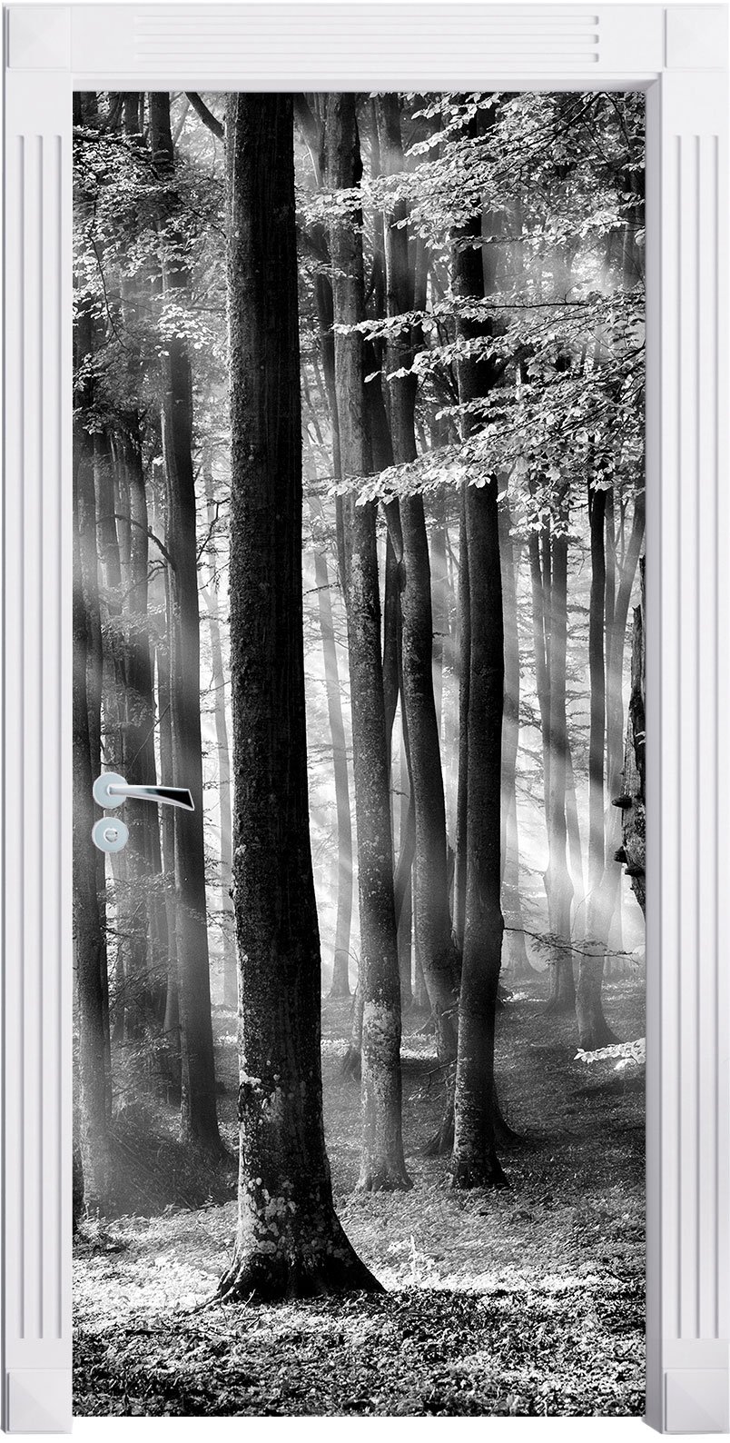 Monocrome, Bäume im Licht als Türtapete, Format: 200x90cm, Türbild, Türaufkleber, Tür Deko, Türsticker