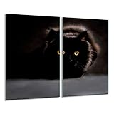 Herdabdeckplatten Ceranfeldabdeckung Spritzschutz Glas 2x30x52 Katze