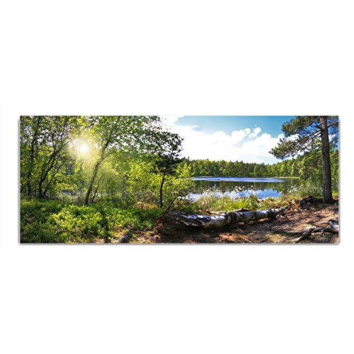 DEKOGLAS Glasbild 'Wald See' Echtglas Bild Küche, Wandbild Flur Bilder Wohnzimmer Wanddeko, einteilig 125x50 cm