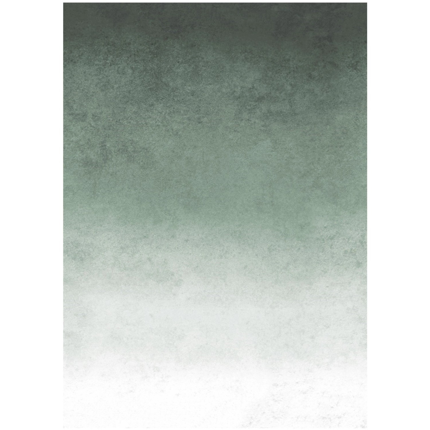 Art for the Home Fototapete Fading groen 280 x 200 cm