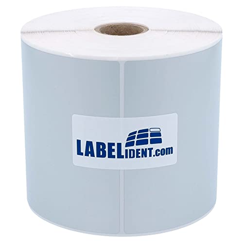 Labelident Thermotransfer-Etiketten auf Rolle silber - 101,6 x 101,6 mm - 500 Polyester PET Etiketten auf 1 Rolle(n), 1 Zoll (25,4 mm), Typenschild Etiketten selbstklebend