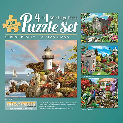 Bits and Pieces - 4-in-1-Multi-Pack 300-teilige Puzzles für Erwachsene – Puzzles messen 40,6 cm x 50,8 cm (4-in-1-Multi-Pack Alan Giana Collection Two)