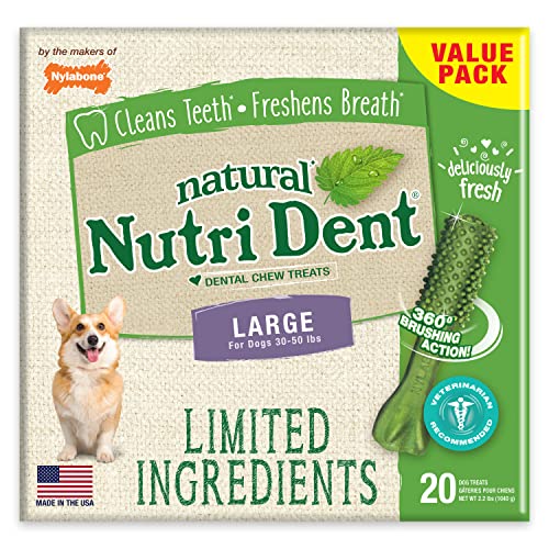 Nylabone Nutri Dent, 20 Ct, Fresh Breath