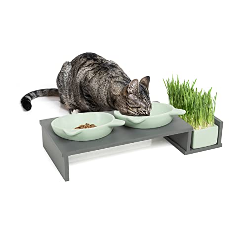 CanadianCat Company ® | Futterbar Cat Diner mit mintgrünen Keramikschalen für Katzen | mit Katzengras Schale Futternapf Fressnapf Futterstation