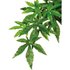 EXO TERRA Kunstpflanze, Rainforest Hanging Plants - Abuliton - gruen