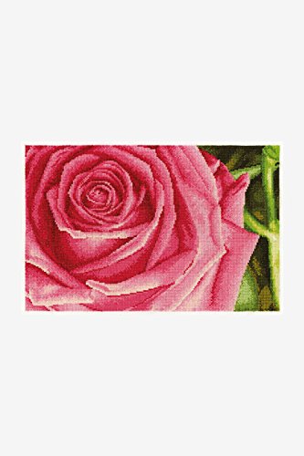 DMC Pink Rose Set, 100% Baumwolle, Mehrfarbig