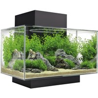 Fluval Aquarium-Set Edge 2.0 LED 46 l Schwarz