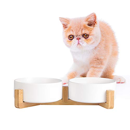 Futternapf Hund - Futternapf Katze mit Holz Ständer - Katzennapf Hundenapf Keramik Fressnapf für Wasser und Futter 2 x 480 ml