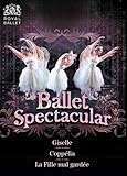Ballet Spectacular [Giselle/Coppélia/La Fille mal gardée] [3 DVDs]