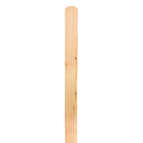 Mega Holz Zaunlatten Paket Usedom 10 Stück Lärche unbehandelt 120 cm