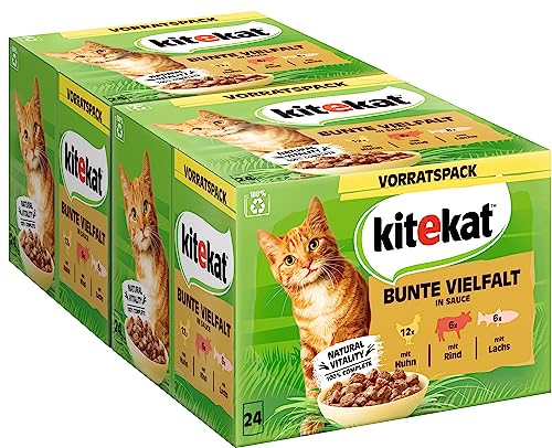 Kitekat Katzenfutter Nassfutter Bunte Vielfalt in Sauce – Feuchtfutter in 48 Portionsbeuteln – 2er Pack (2 x 24 Portionsbeutel à 85g)