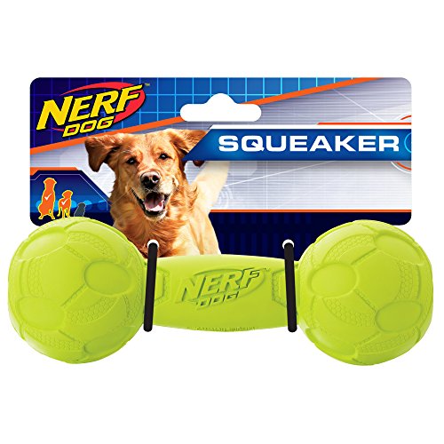Nerf Dog Bash Langhantel Hundespielzeug mit interaktivem Quietscher, leicht, langlebig und wasserabweisend, 17,8 cm, für mittelgroße und große Rassen, Einzeleinheit, Grün