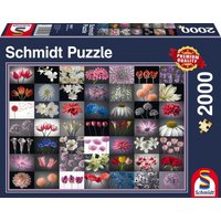 Schmidt Spiele 58297 - Blumengruß, Puzzle, 2000 Teile