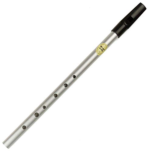 Key 6-Loch-Metallflöte Irish Tin Whistle Flute Irish Woodwind Mini Pocket Bamboo Whistle (Color : D Key Silver)