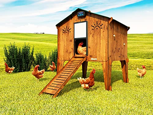 Hühnerstall für 8/10 Hühner + Futterstation + automatische Tür Polly Duplex L, hergestellt in Italien
