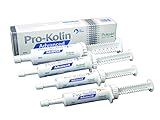 Protexin Pro-Kolin Advanced für Hunde 60 ml