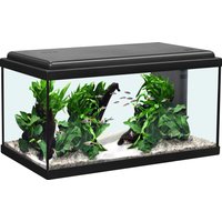 AQUATLANTIS Aquarium »Advance 60 LED«, 54 Liter, BxTxH: 60x30x34 cm, schwarz