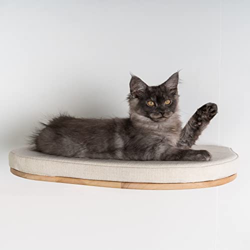 RHRQuality Katzenregal katzenliege wandmöbel Katze Katzenbett de Luxe beige XXL wandmontage wandbrett (Bis 20KG💪) 53cm für große Katzen