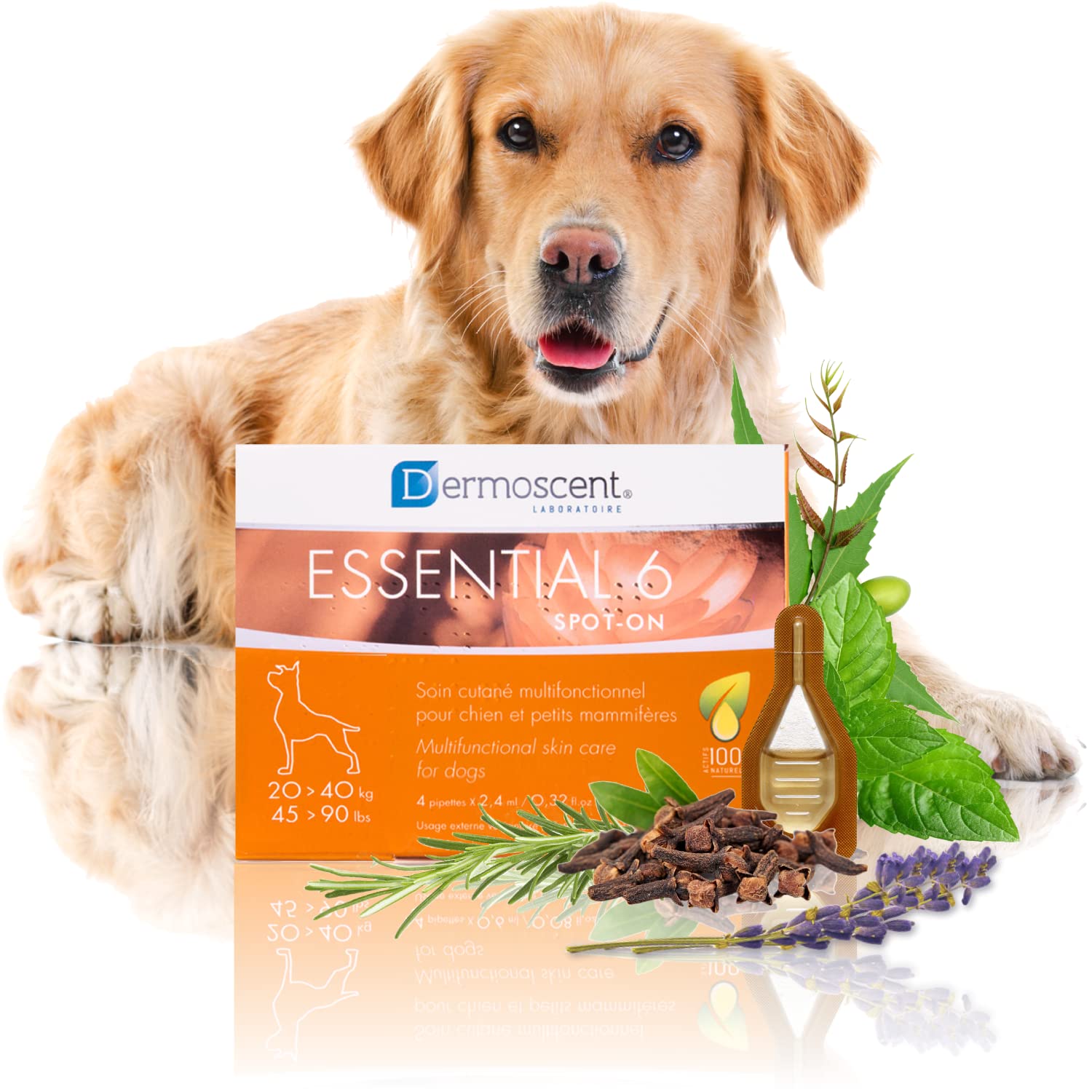 Innovative Hautpflegelösung für Hunde und kleine Haustiere | Feuchtigkeitsspendend, glänzend, kontrolliert Haarausfall, reduziert Gerüche und schützt mit natürlichen Inhaltsstoffen | 20-40 kg