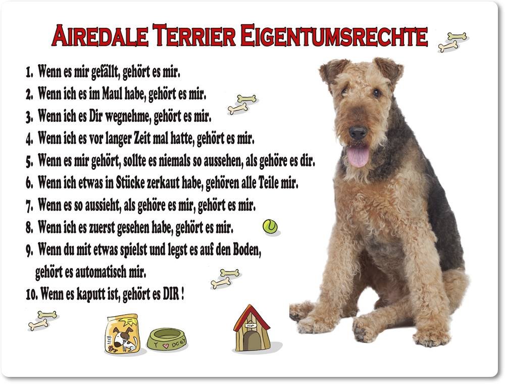 Blechschild / Warnschild / Türschild - Aluminium - 30x40cm "Eigentumsrechte" Motiv: Airedale Terrier (01)