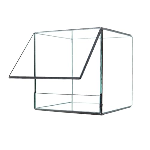 Kleines Geometrische Glas-Terrarium Mit Deckel, Für Tischplatte, Sukkulenten, Als Pflanzgefäß, Die Fensterbank Für Farn Moos, Display Blumentopf (ohne Pflanzen) (Color : 19cm)