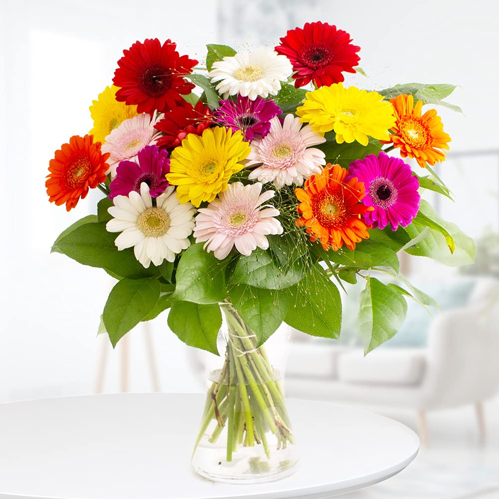 Blumenstrauß bunte Gerbera, echte Blumen verschicken mit 7-Tage-Frischegarantie, von Floristen handgebunden