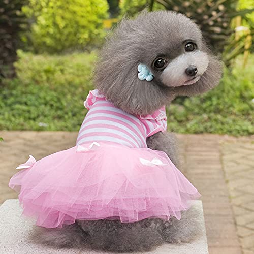 Hundekleidung Regenbogen-Hosenträgerrock Hundekleidung Kleid Super Hundekleidung Haustier-Outfits Niedlicher Sommer-Baumwolldruck (Color : Pink, Size : S)